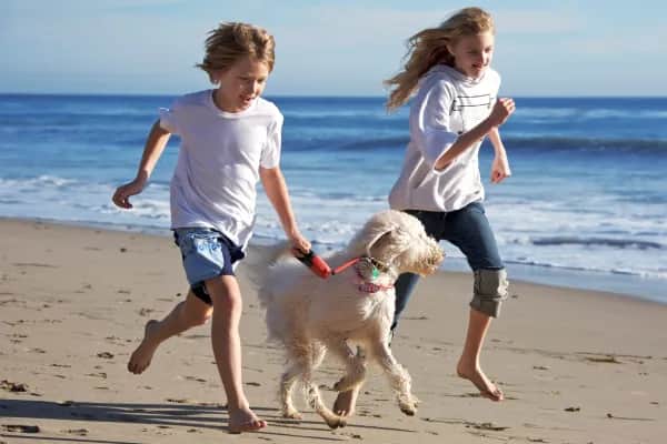 Hundefreundliche Ferienwohnung im Godewindpark Travemünde
